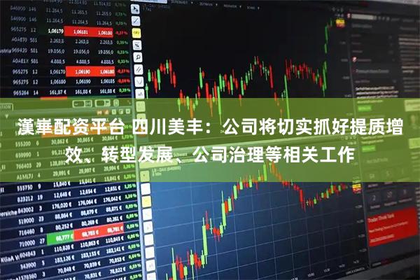 漢崋配资平台 四川美丰：公司将切实抓好提质增效、转型发展、公司治理等相关工作